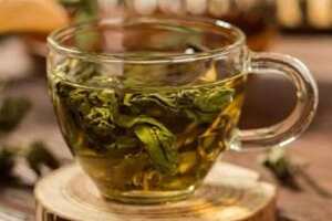 杜仲嫩芽茶的功效与作用吃法