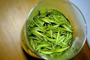茶壶泡绿茶的方法
