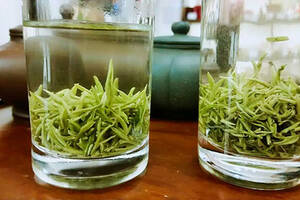 绿茶适合哪种茶具玻璃茶具为什么好