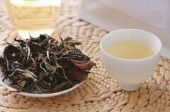 白茶叶多少钱一斤