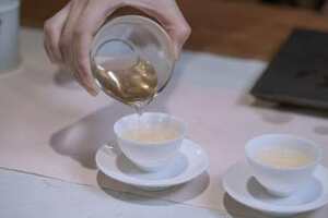 生普洱茶用多少度的水泡