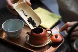 冲泡普洱茶常用的茶具有哪些（冲泡普洱茶常用投茶量是）