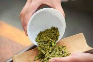 沙棘茶叶的功效与作用及禁忌