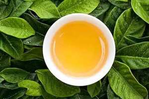 喝茶不仅有杀菌、去火功效，还可以消脂减肥！