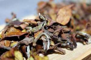 乌龙茶属于什么茶类红茶还是绿茶