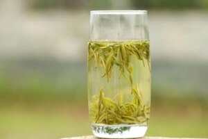 黄茶的种类有哪些（黄茶包括哪些茶叶品种）