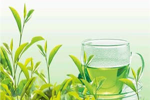 绿茶什么时候喝最好喝绿茶的最佳时间