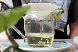 铁观音是红茶还是绿茶吗