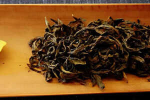 蒙顶山茶叶品种