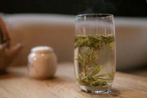 毛尖绿茶的正确泡法和喝法