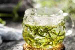 炒青绿茶的加工过程