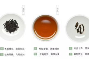 武夷岩茶是什么茶（武夷岩茶是红茶吗）