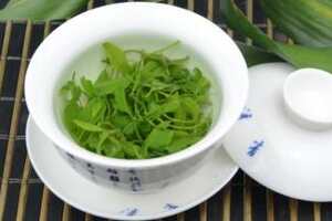 贵州余庆发酵小叶苦丁茶的功效与作用