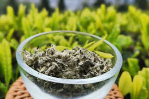 什么茶叶是绿茶类（什么茶属于绿茶）