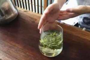 绿茶茶艺表演温杯技法