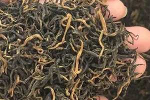 山东红茶有哪些品种