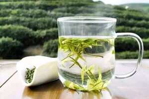 绿茶用多少度的水泡好（绿茶用多少度的水泡好喝）