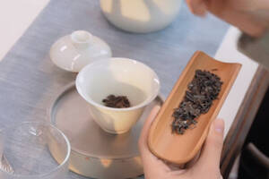 普洱茶的冲泡方法和手法