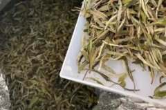 福鼎老树白茶多少钱一斤