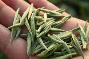 富硒茶产地在哪里，中国富硒茶都产自这几个地方