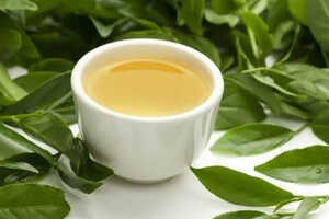 什么茶叶属于绿茶类