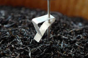 肉桂茶属于什么茶保质期多久