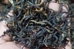 古树茶价格钱一斤