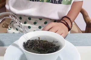 小青柑普洱茶是生茶还是熟茶