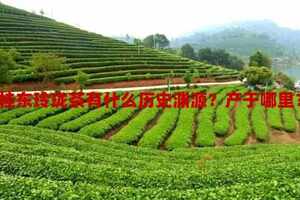 桂东玲珑茶有什么历史渊源？产于哪里？