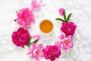 中国十大花茶排名（哪种花茶是你心中的第一？）