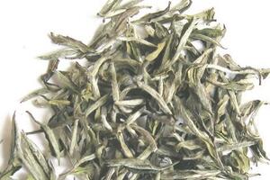 白茶的储存方法和条件（白茶都有哪几种采摘鲜叶用竹匾及时摊放，厚度均匀，不可翻动）