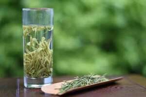 减肥期间喝绿茶有助于减肥吗