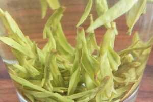 绿茶茶氨酸的功效与作用