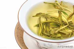 安吉白茶是什么茶品种图片