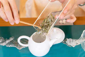 茶叶的泡制方法和技巧