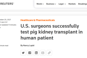 世界首例猪肾脏移植人体手术成功，目前暂未发现排异反应