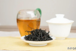 古树红茶有什么特点（古树红茶产地与茶叶介绍）