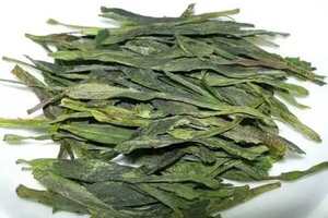 老竹大方茶生产地分布在哪的？老竹大方茶生长成长环境怎样？