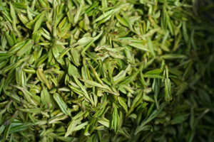 绿茶保质期一般多久，过期的绿茶还能喝吗？