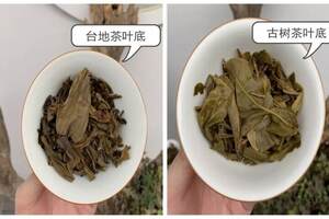 台地茶和古树茶的最大区别是什么