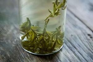 喝绿茶对胃有影响吗（绿茶是不是真伤胃？）