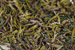 紫阳毛尖茶的制茶工艺（紫阳毛尖茶属于什么茶）