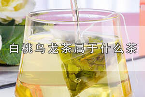 白桃乌龙茶可以减肥吗