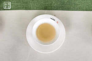 常见的绿茶都有哪几种