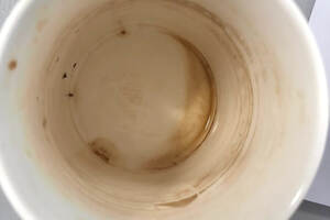 茶杯污垢用什么去除？清理茶杯的简单方法分享