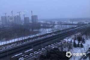 下雪了！北京迎虎年首场雪今天白天有中雪最高气温跌至冰点以下