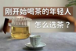 适合年轻人的茶叶，都有哪些？绿茶、白茶、红茶都该怎么选？