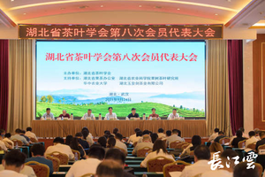 湖北省茶叶学会第八次会员代表大会在汉召开，助推鄂茶产业高质量发展