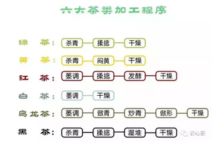 中国茶叶六大类介绍（6类茶分类及特色讲解）