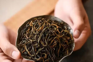 红茶|云南滇红---大叶种独有的形美、色艳、香高、味浓